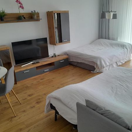 בראשוב Coresi, 2 Camere, Sleeps 6 Large Private Garden Apartment Pets Welcome מראה חיצוני תמונה
