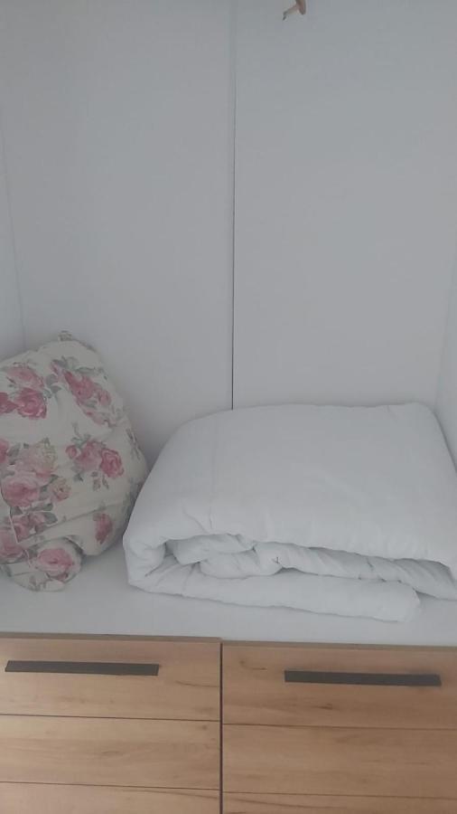 בראשוב Coresi, 2 Camere, Sleeps 6 Large Private Garden Apartment Pets Welcome מראה חיצוני תמונה