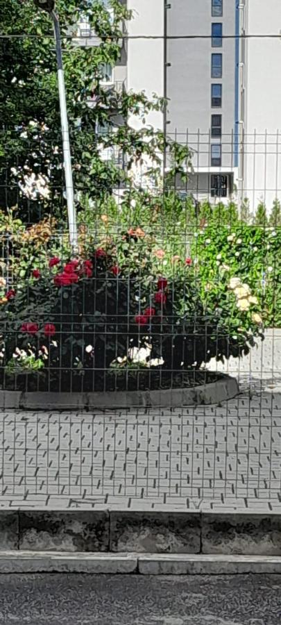 בראשוב Coresi, 2 Camere, Sleeps 6 Large Private Garden Apartment Pets Welcome מראה חיצוני תמונה